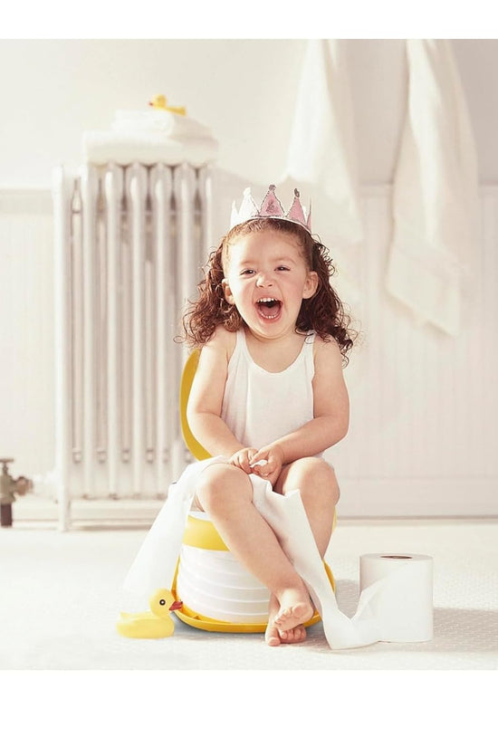 Portable Potty Training Seat